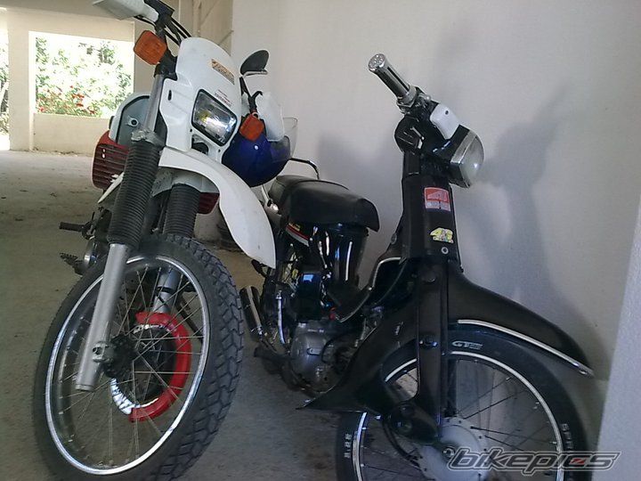 Photo 2342261