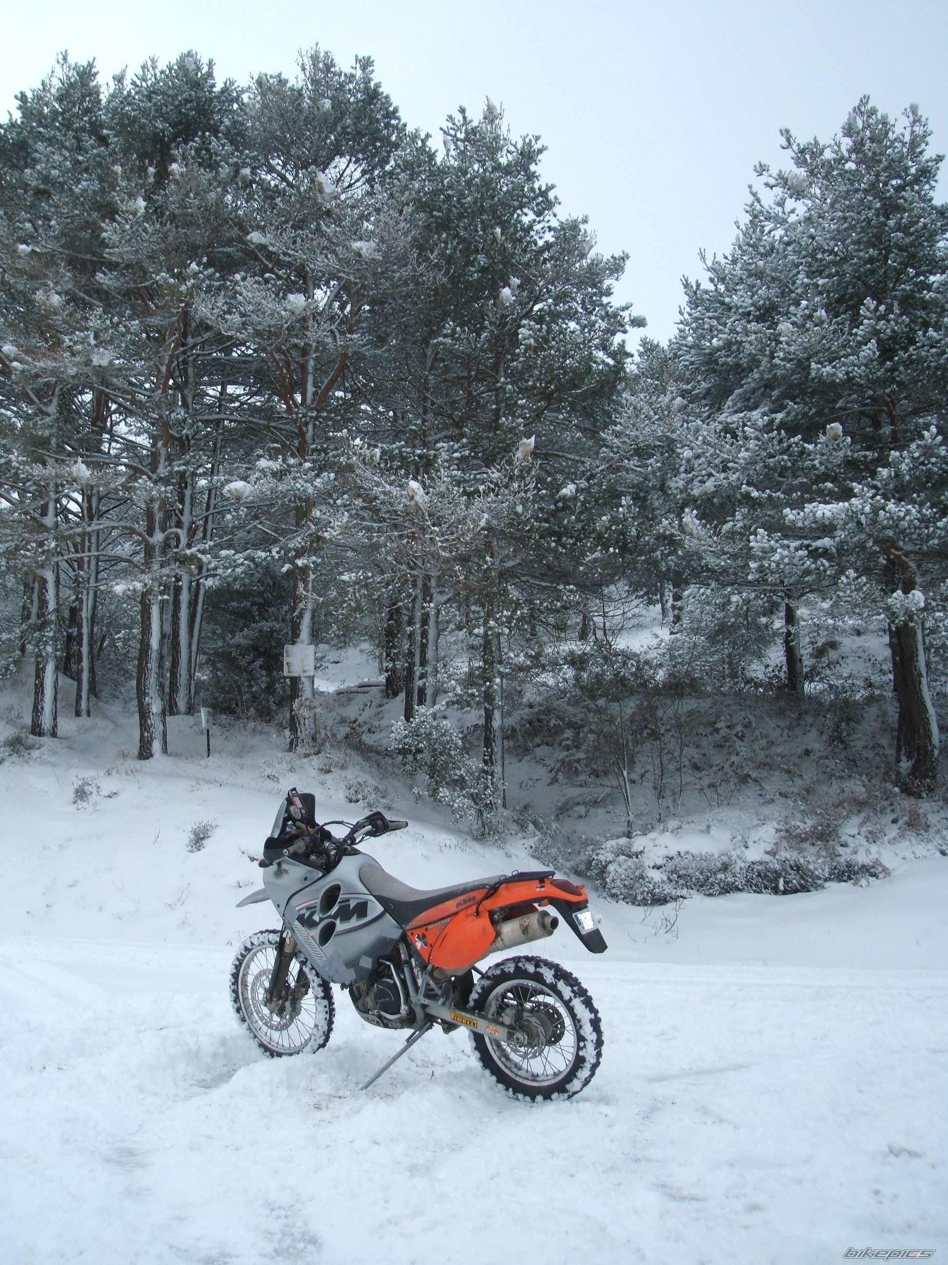 Photo 2342848