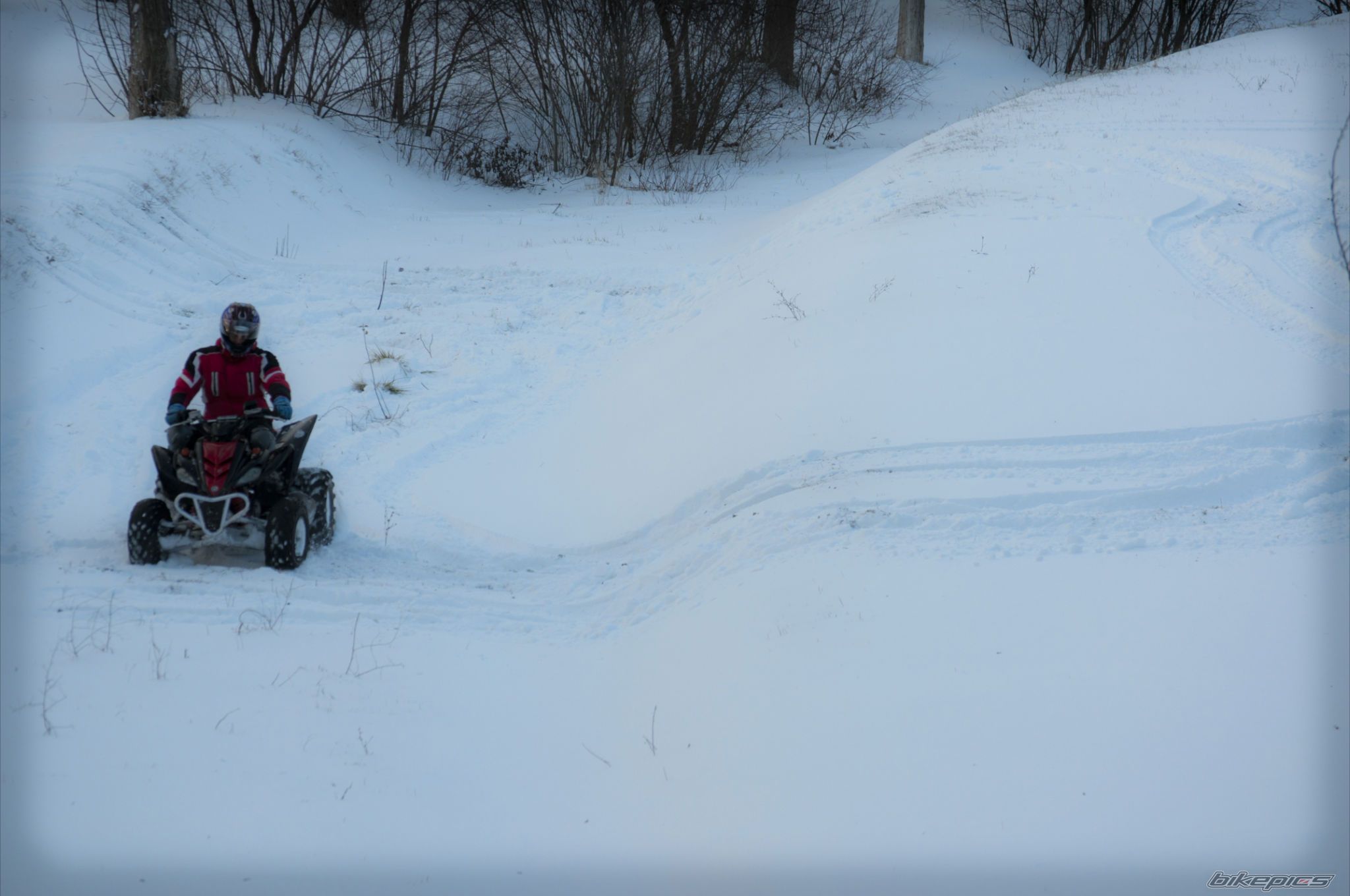 Photo 2343448