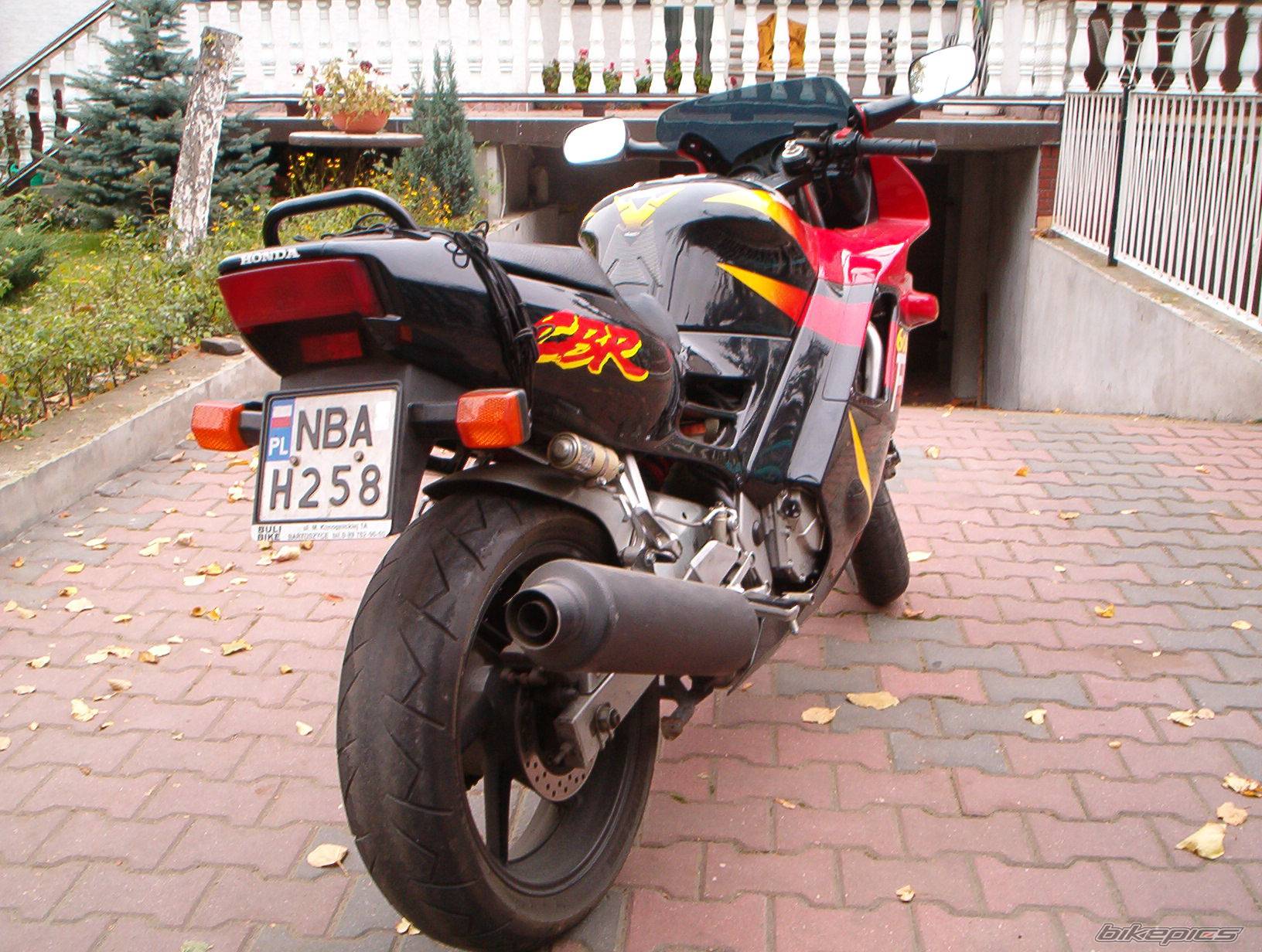 Photo 234365