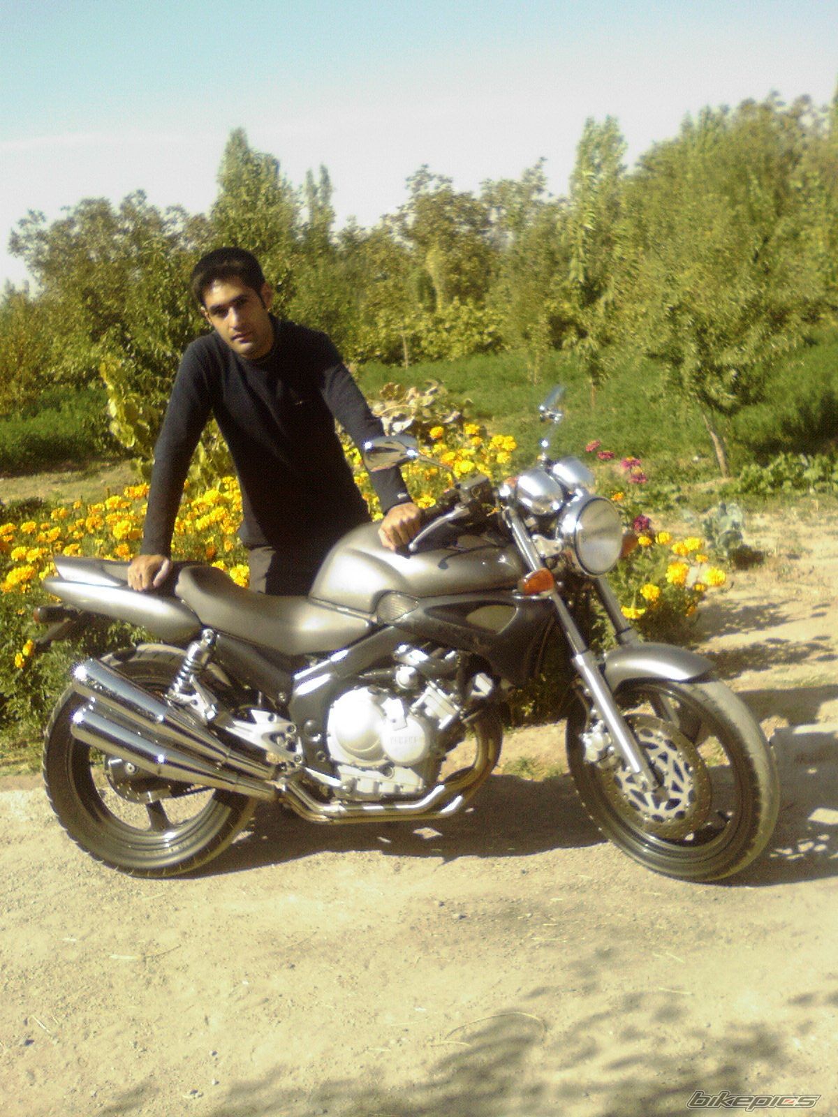 Photo 2343779