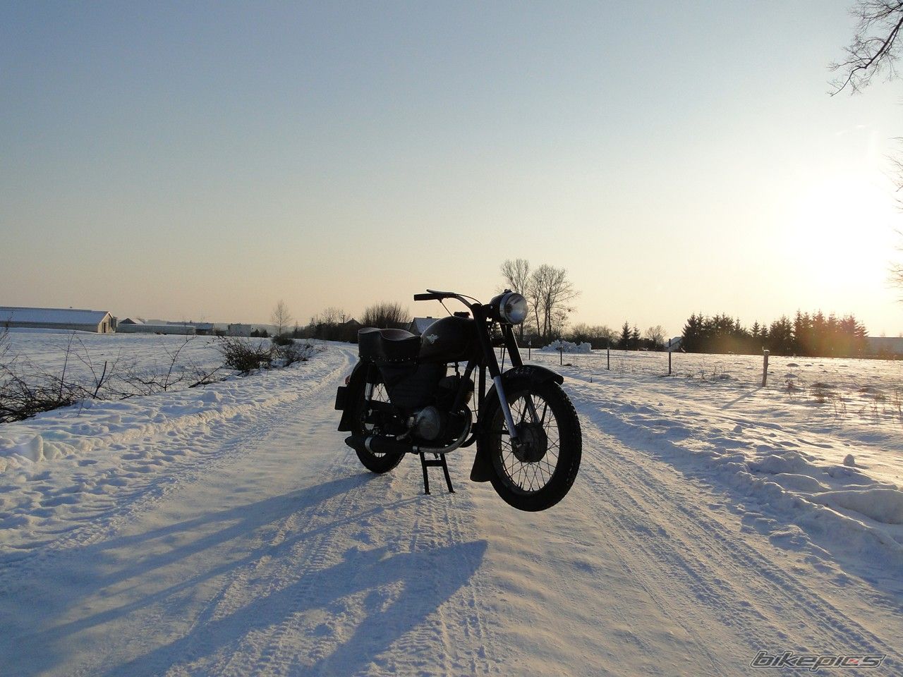 Photo 2345559