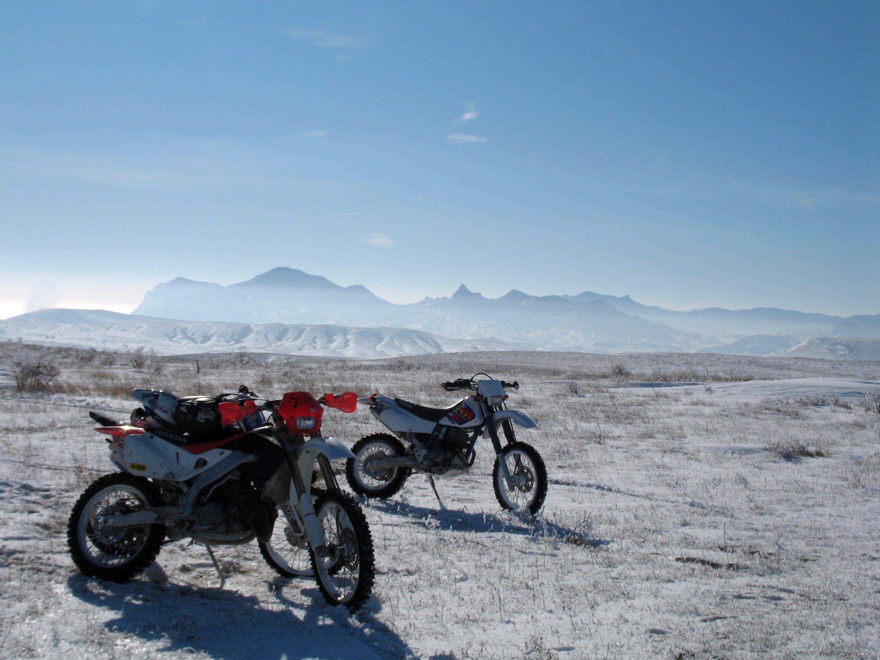 Photo 2346999