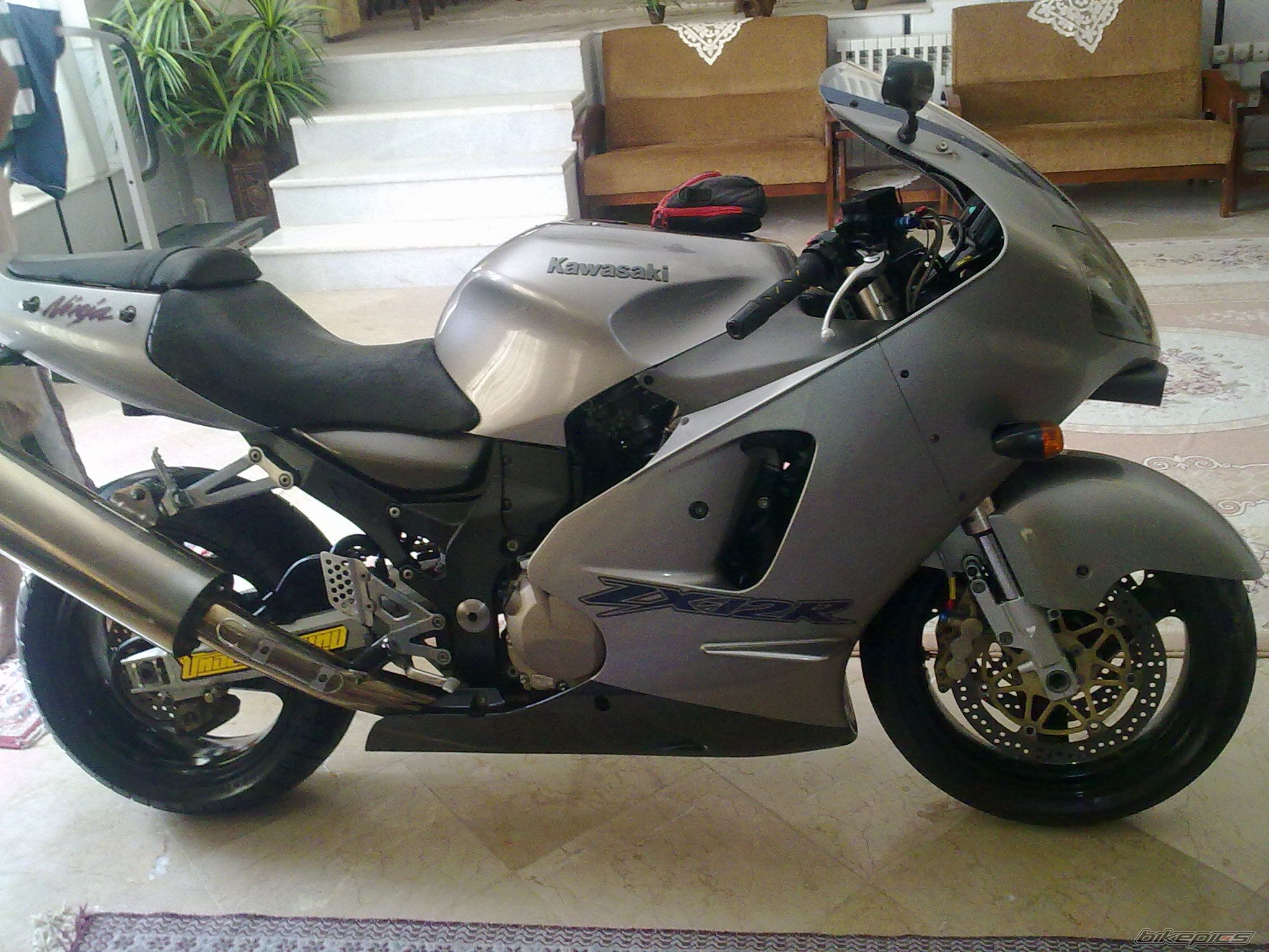Photo 2347582