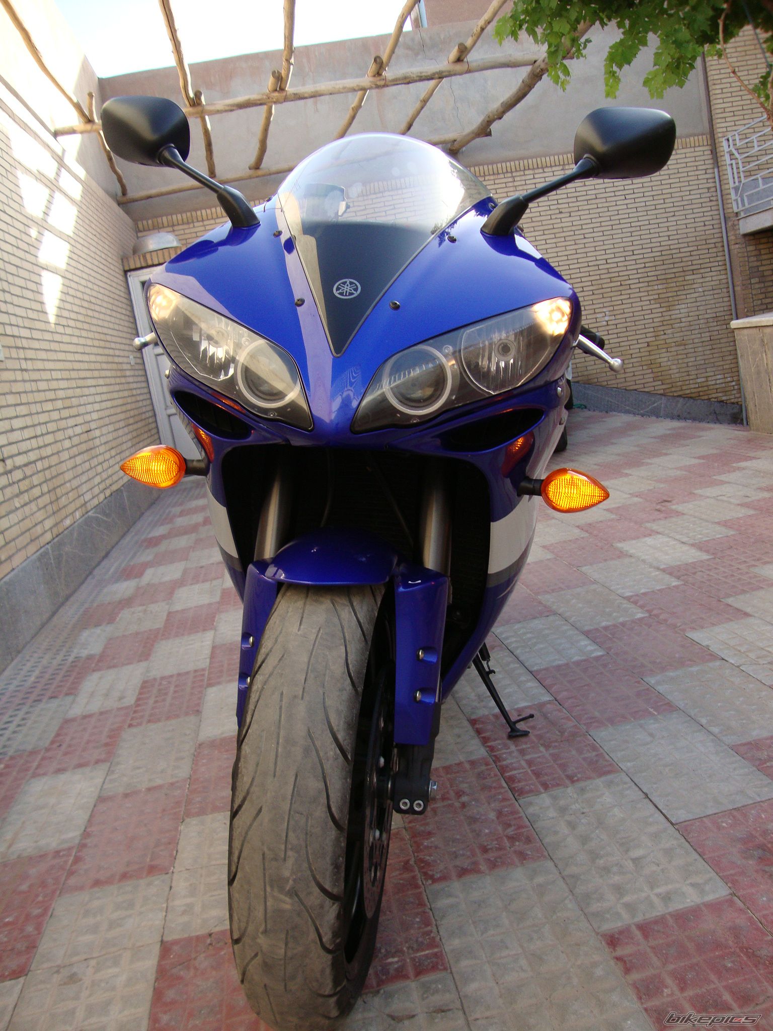 Photo 2347590