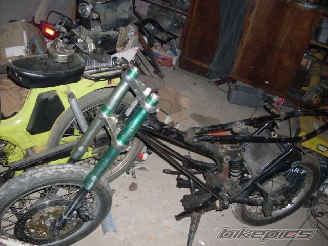 Photo 2349625