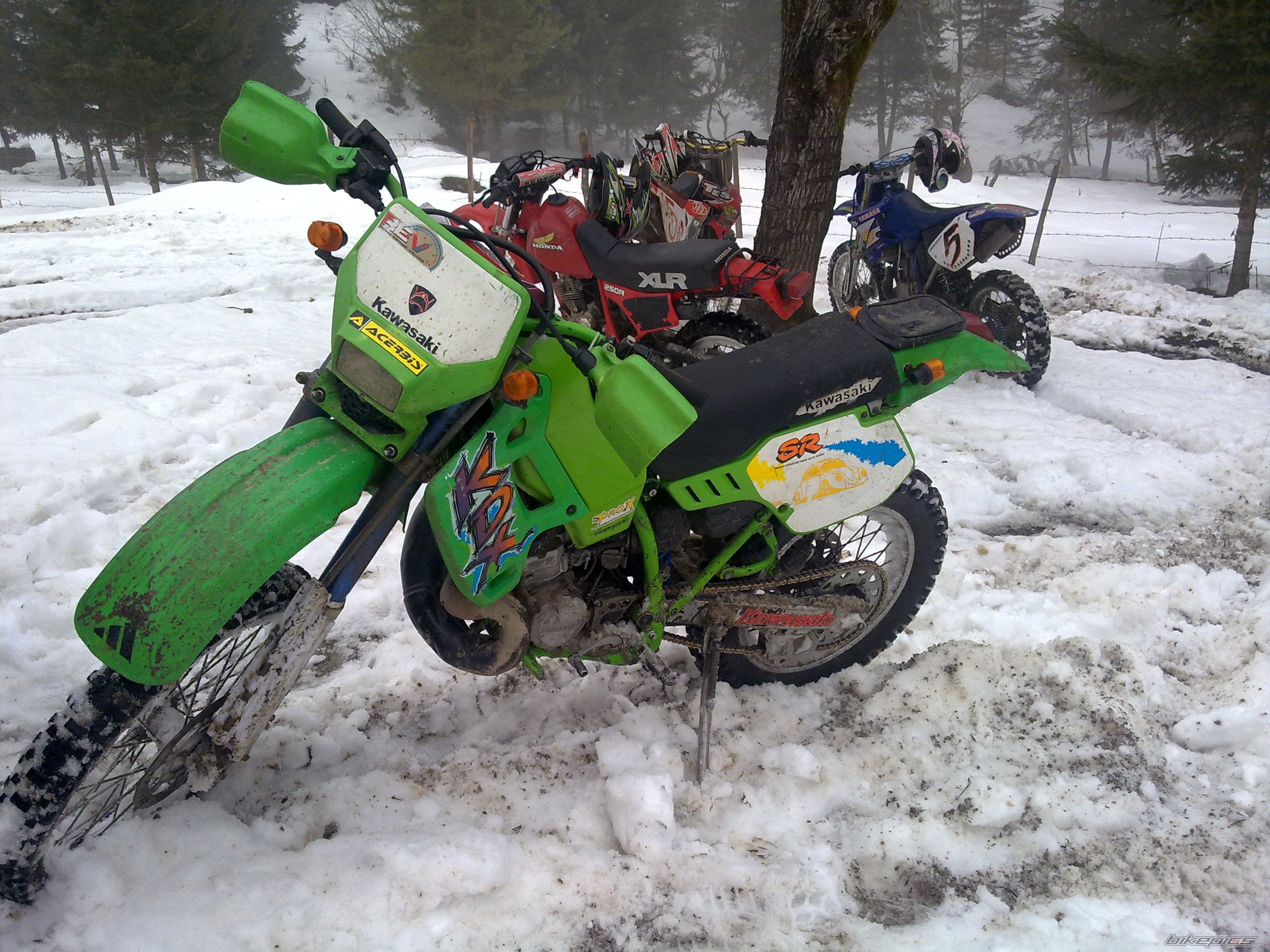 Photo 2349983