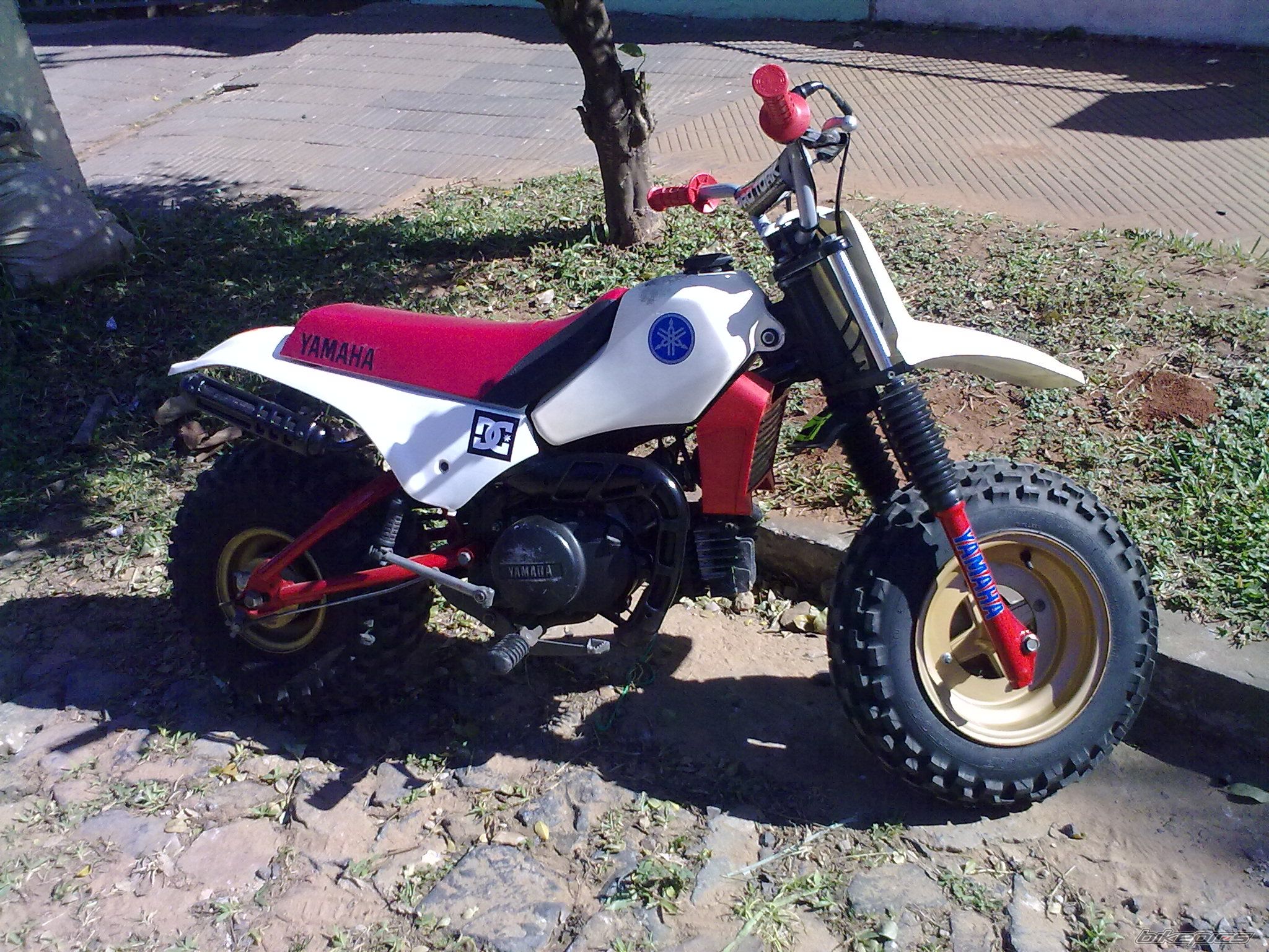 Photo 2351737