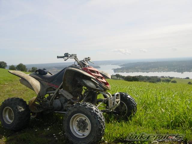 Photo 235262