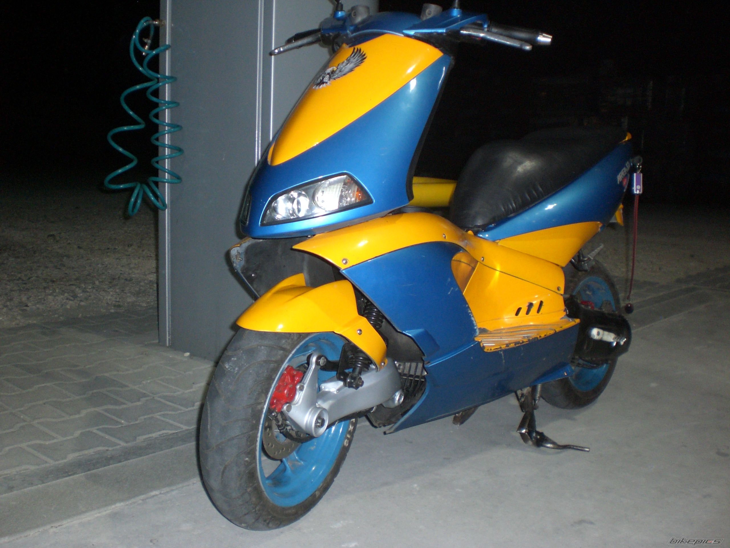 Photo 2353438