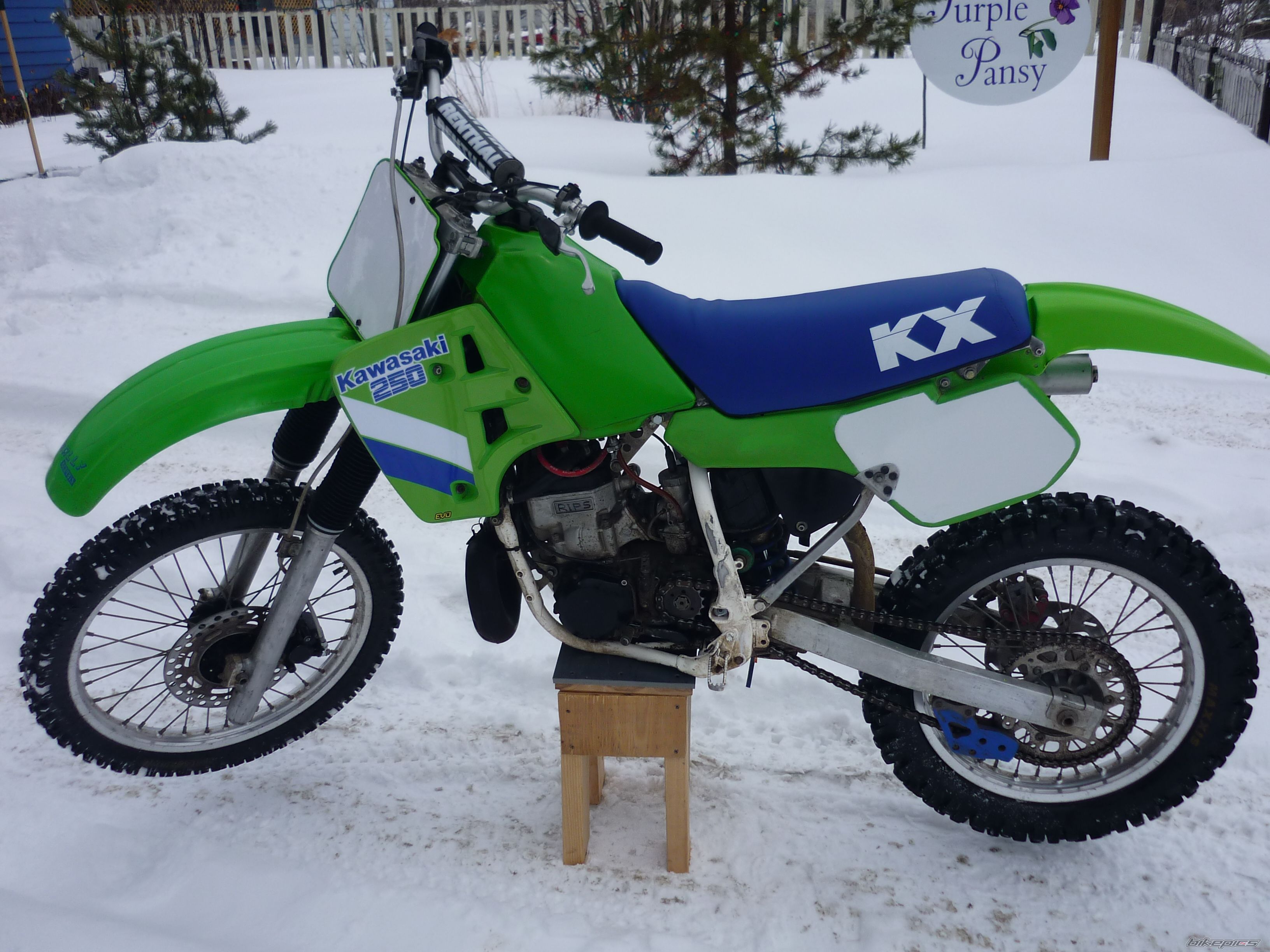 Photo 2358089