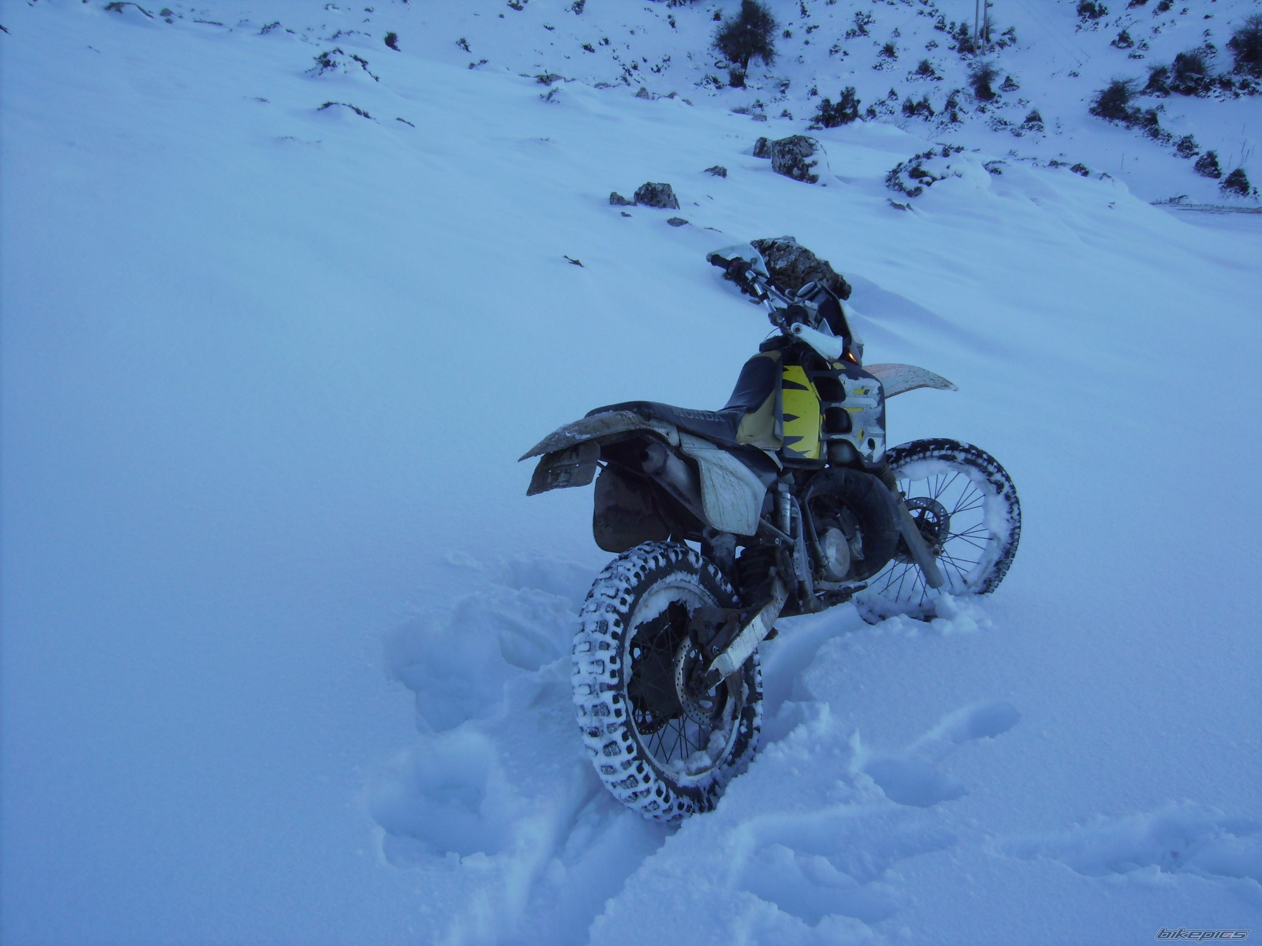 Photo 2360141