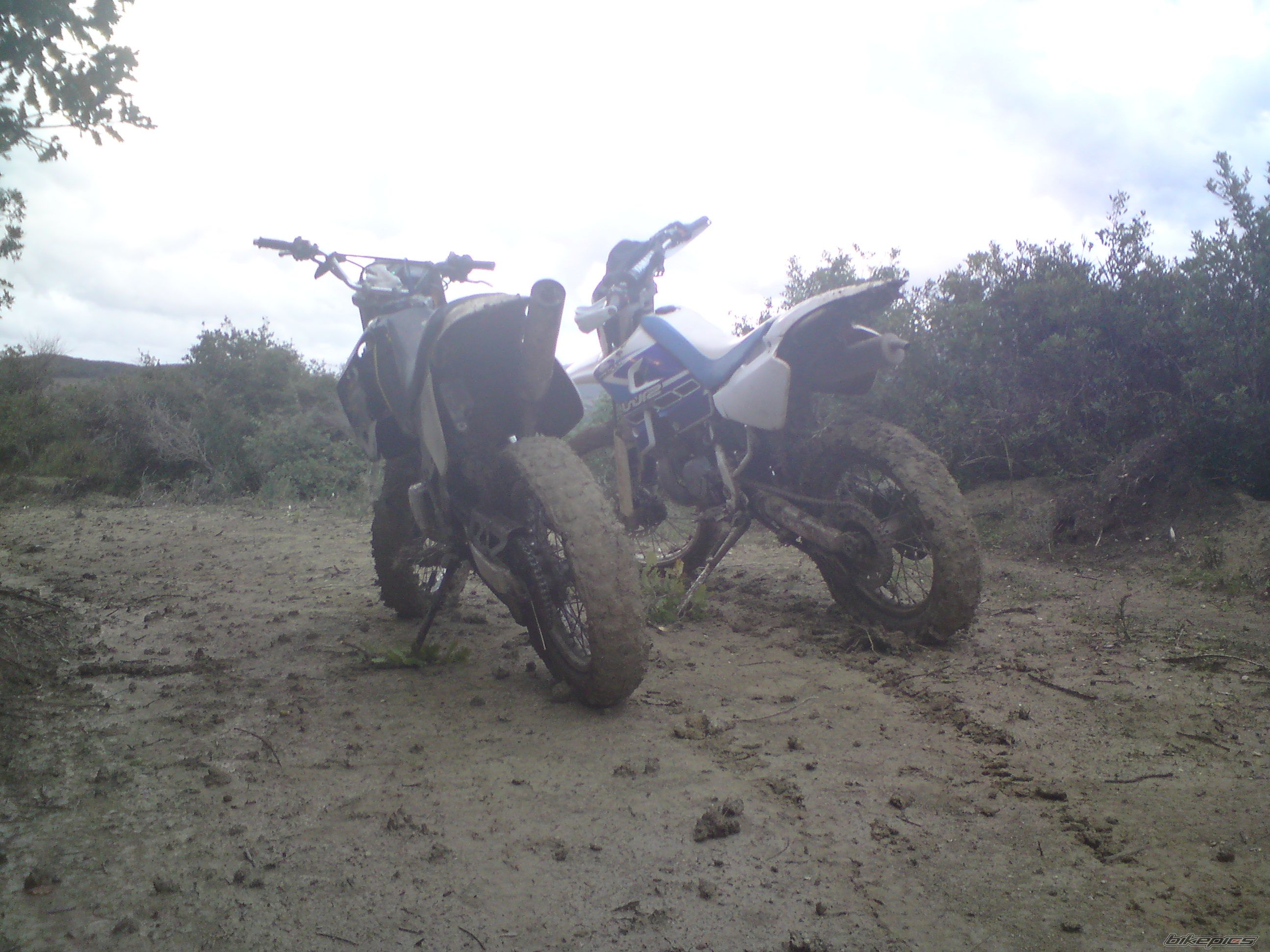 Photo 2360148