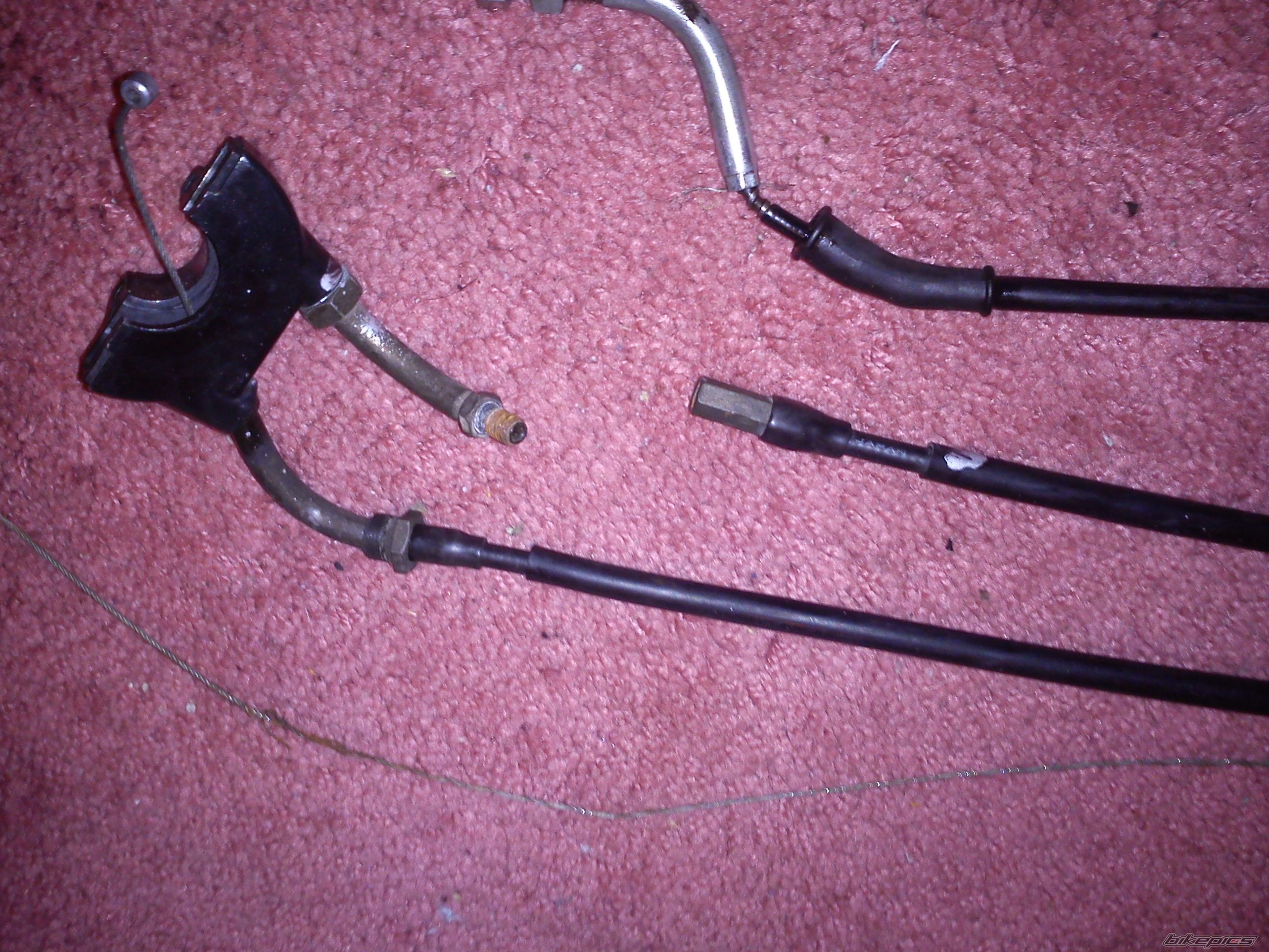 Photo 2362447