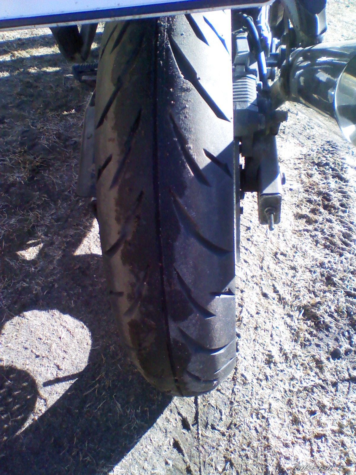 Photo 2362882