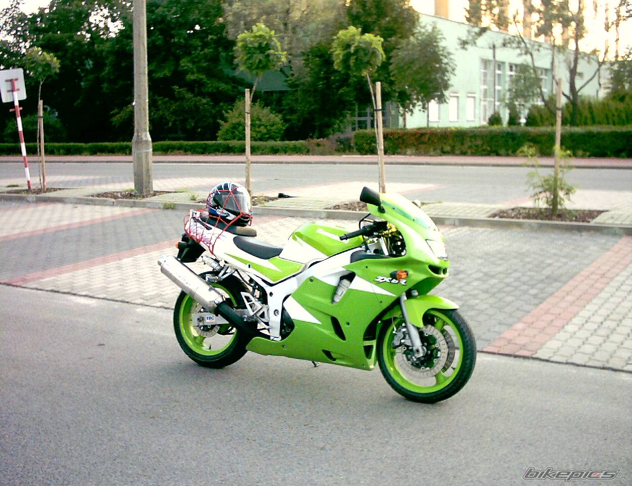 Photo 236382