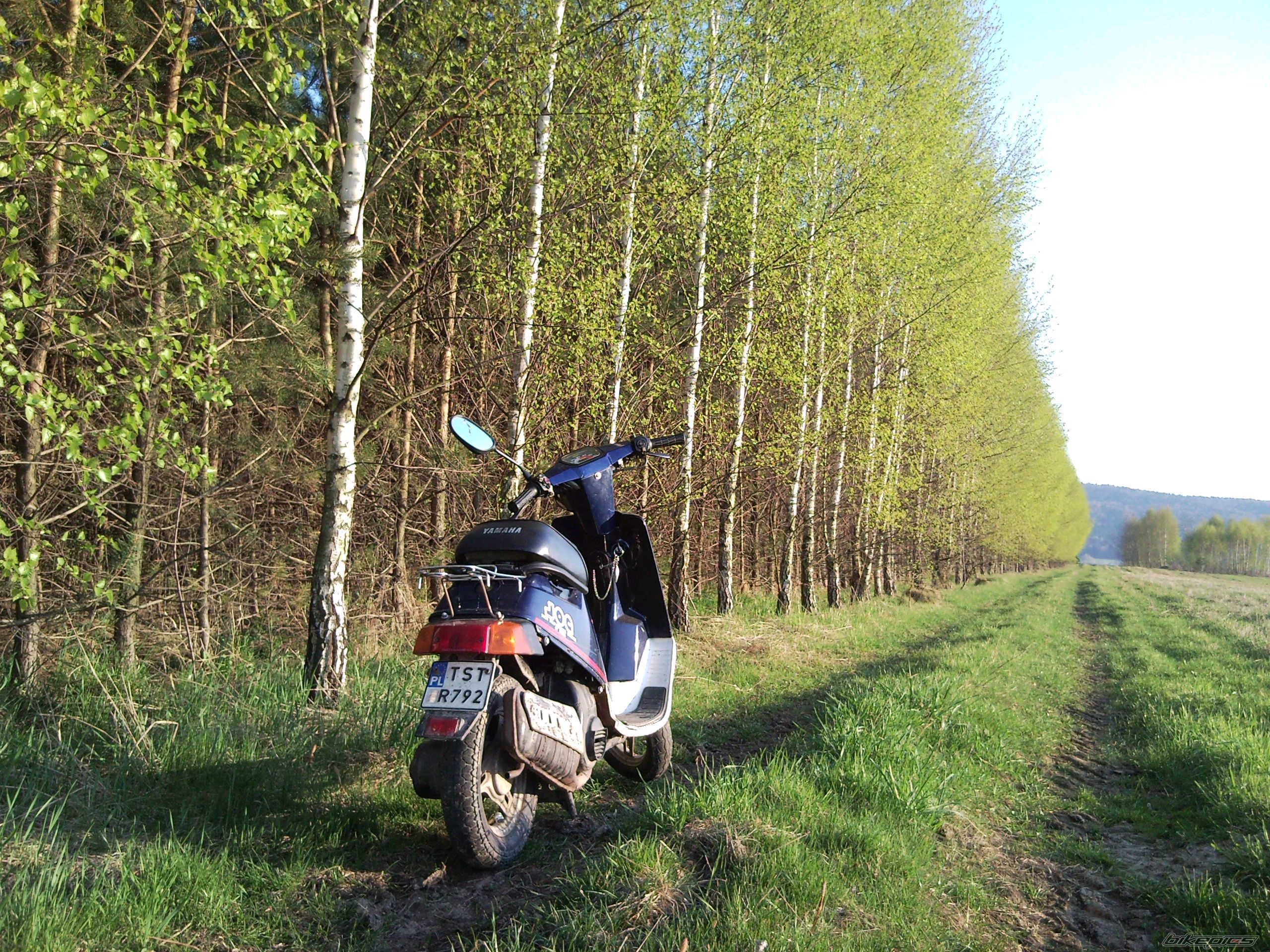 Bike Photo 2368656