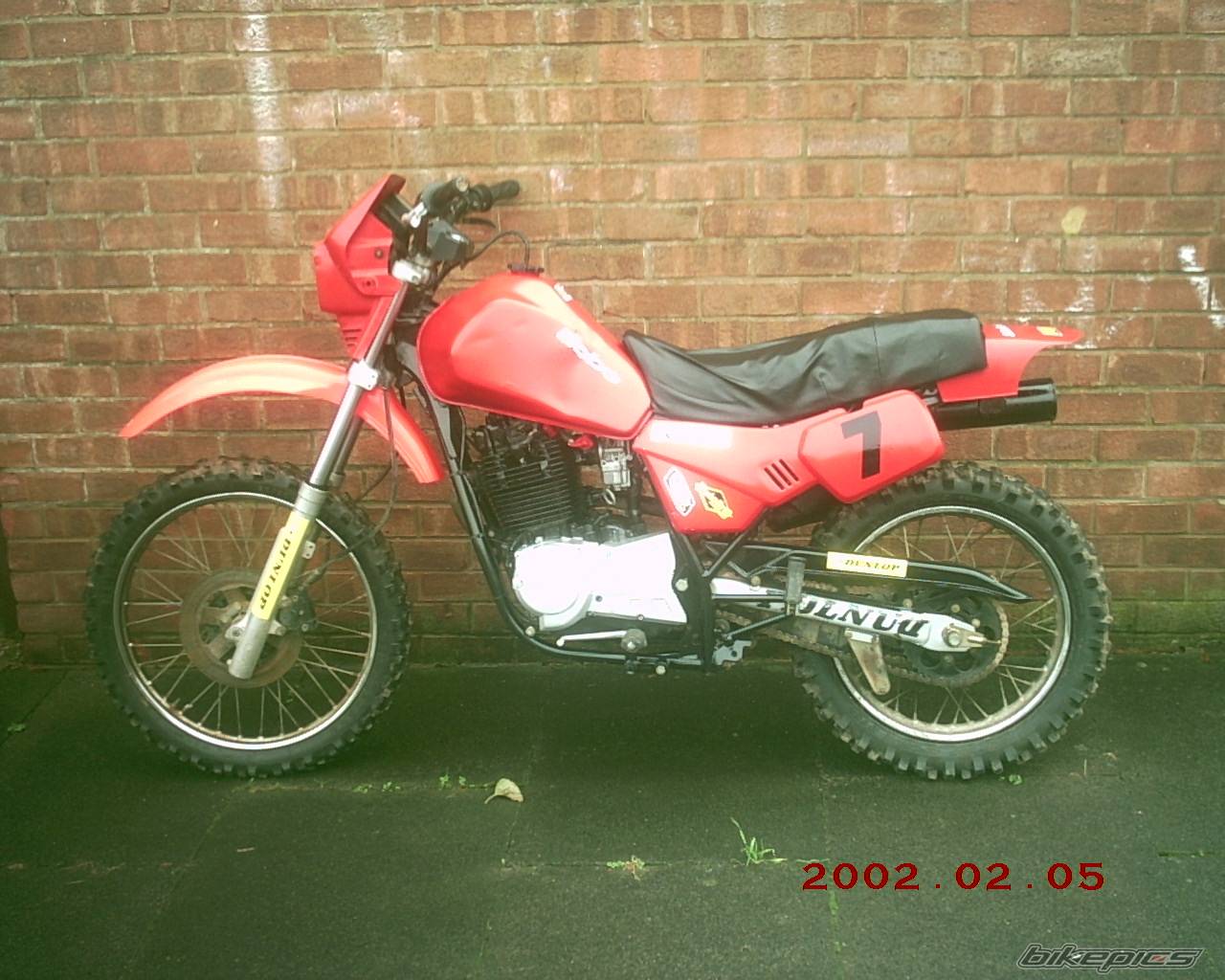 Photo 236939