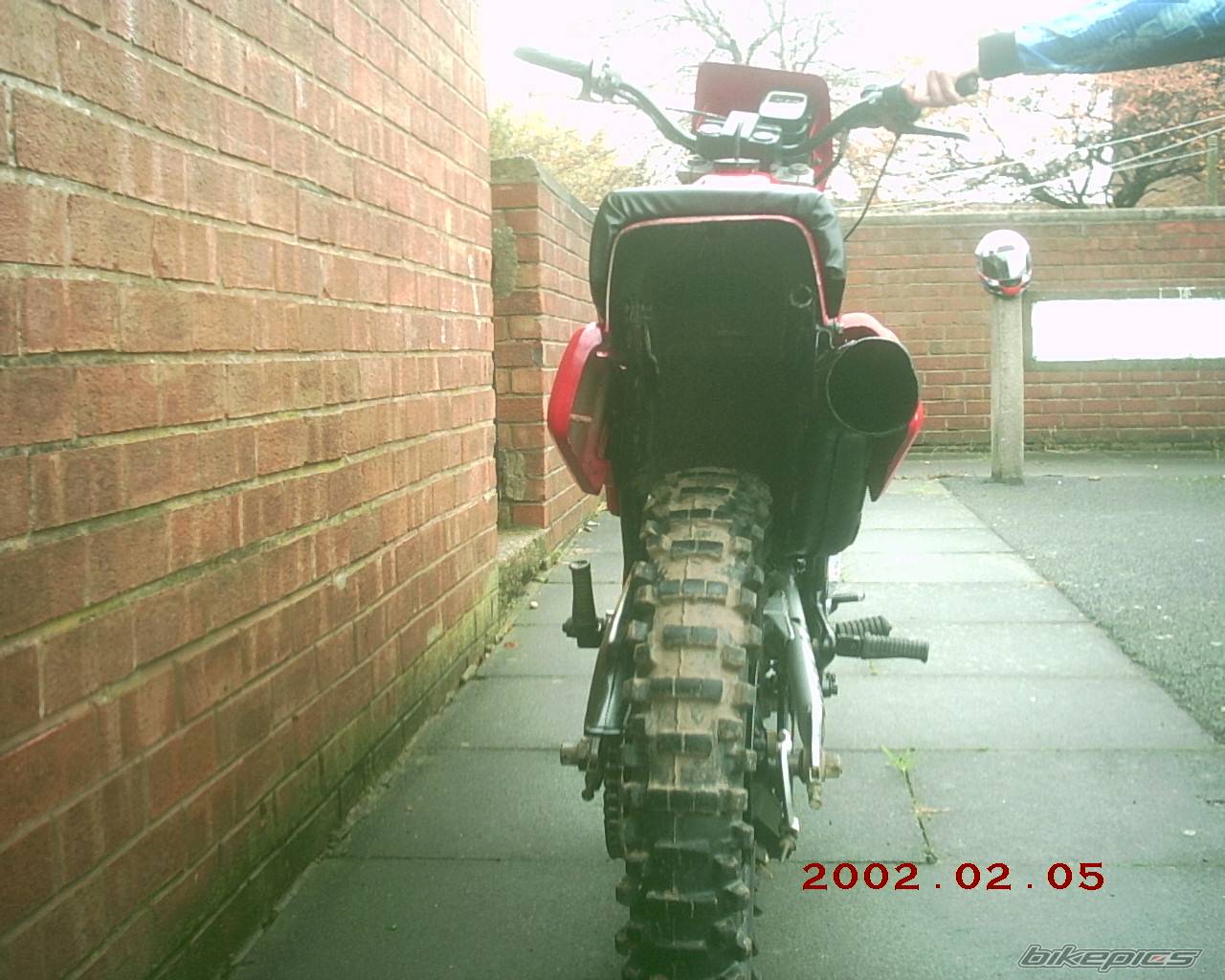 Photo 236945