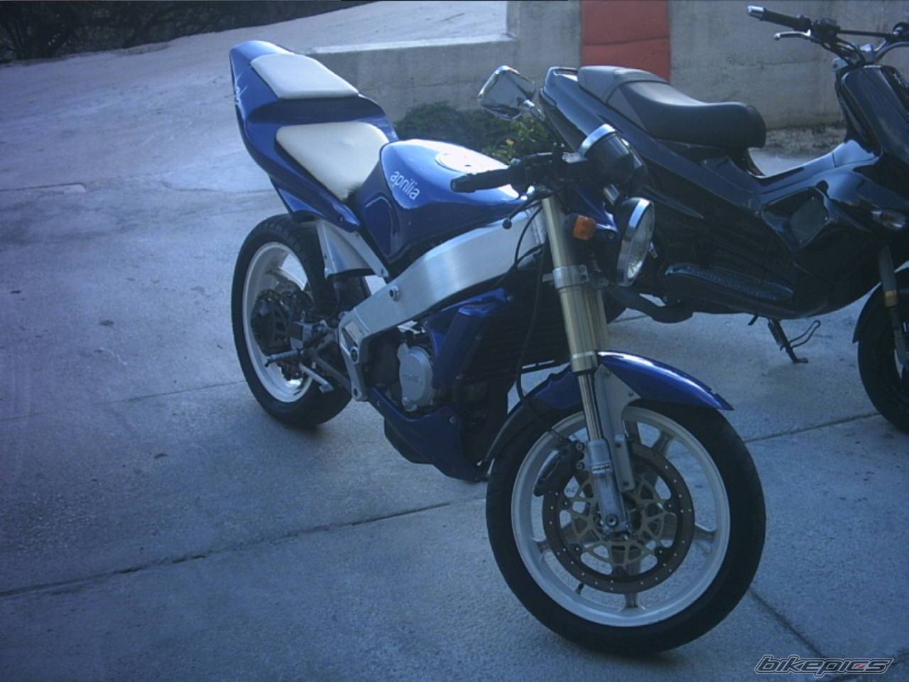 Photo 236978