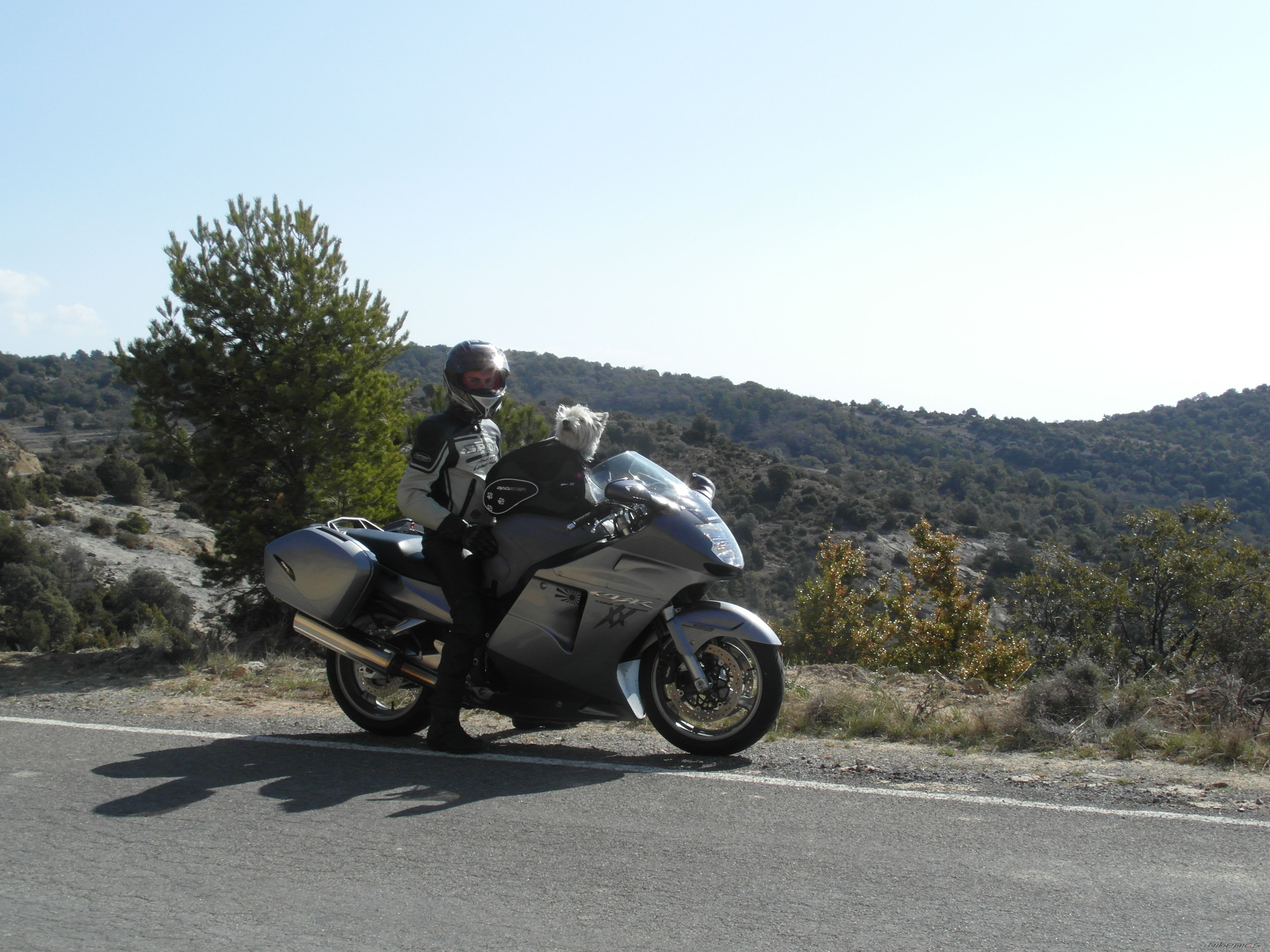 Bike Photo 2376325