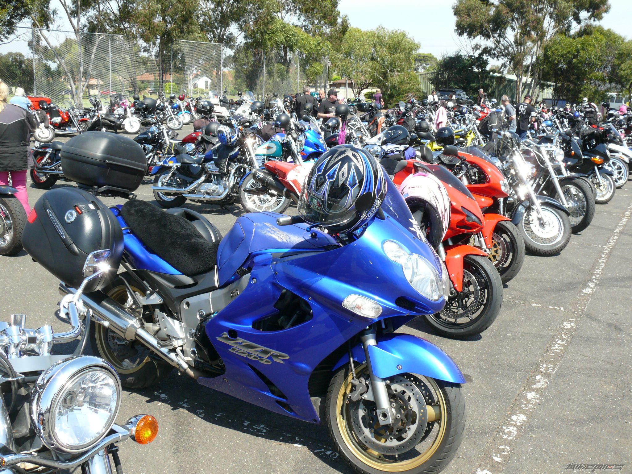 Photo 2377858
