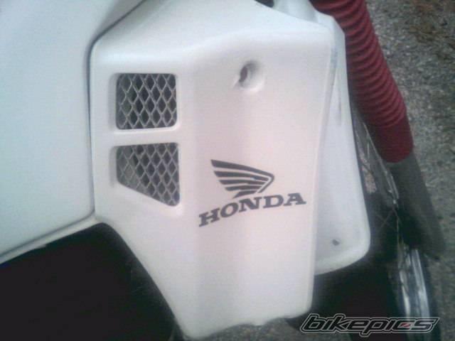Photo 237840