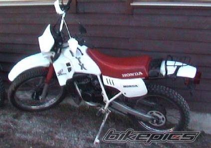 Photo 237842
