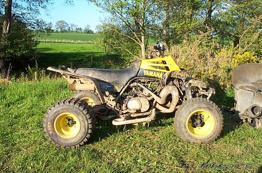 Bike Photo 238119