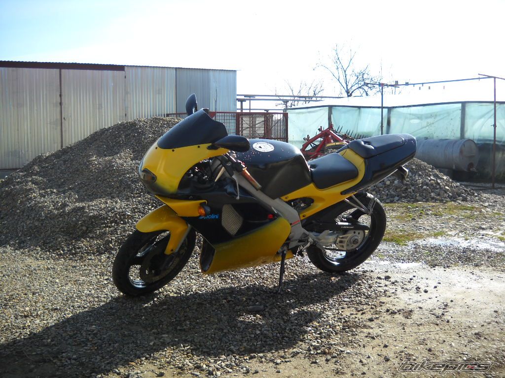 Photo 2381395