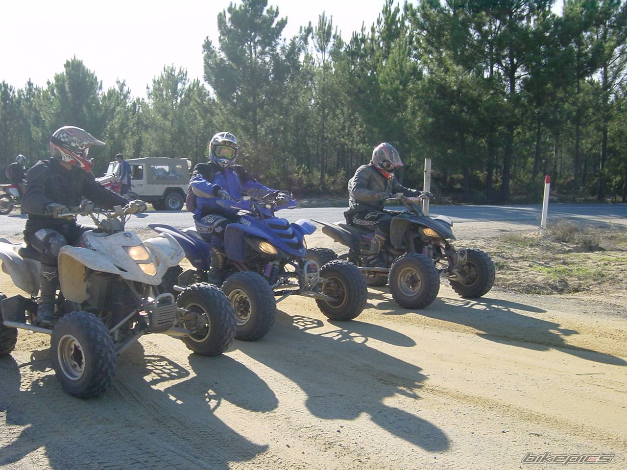Photo 238229