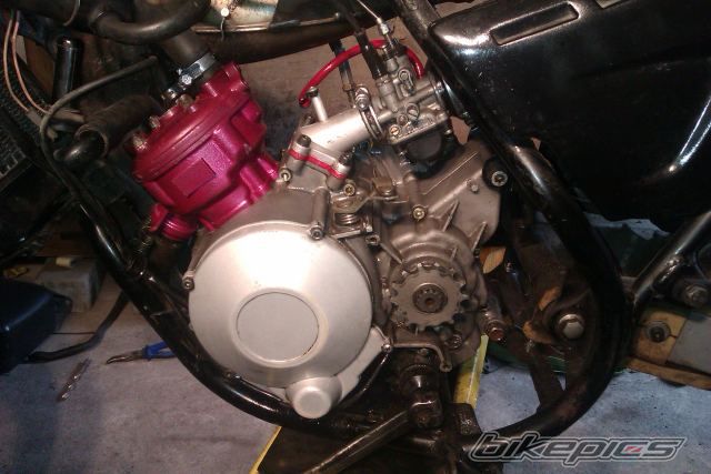 Photo 2383262