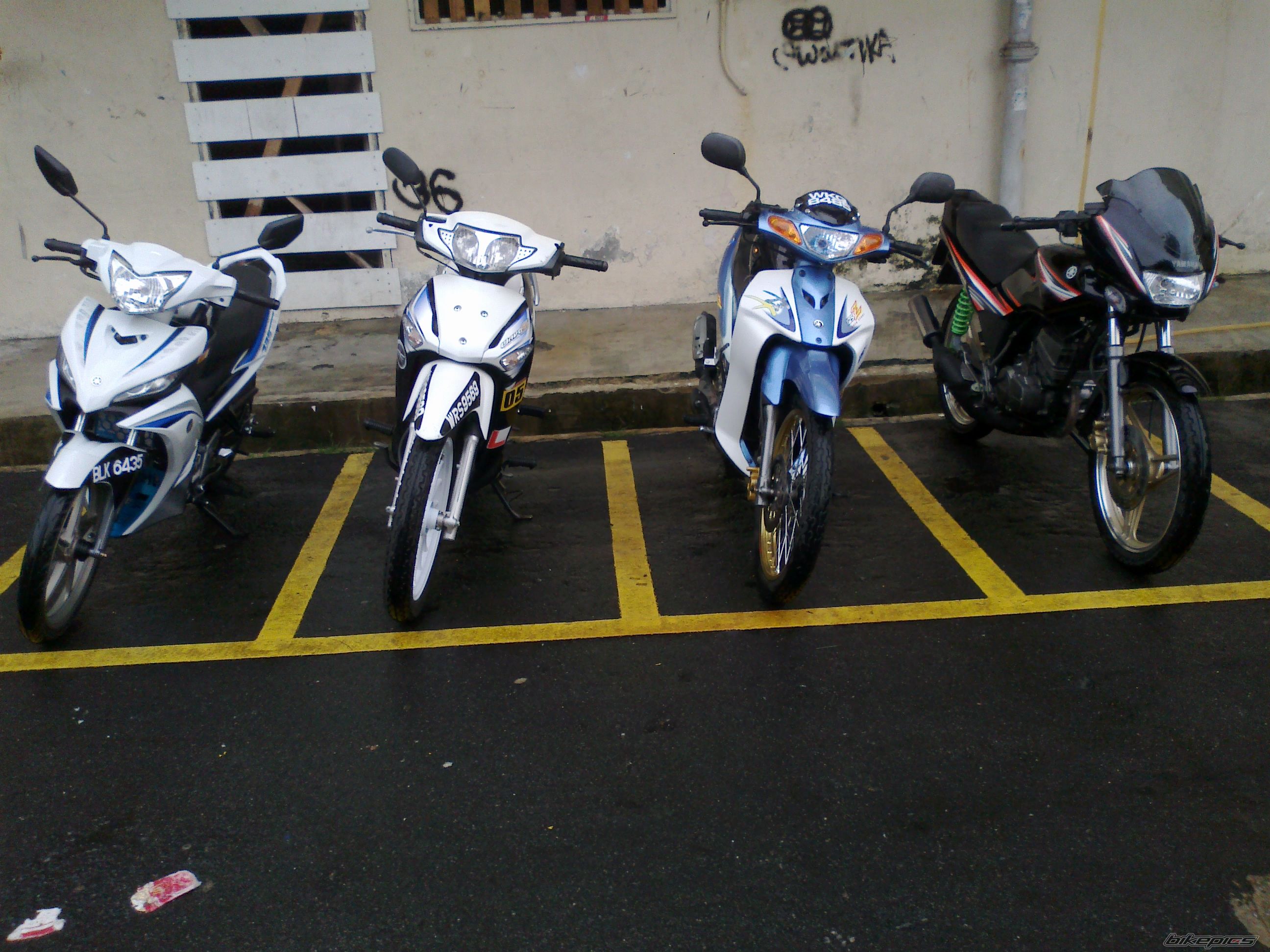 Photo 2384786