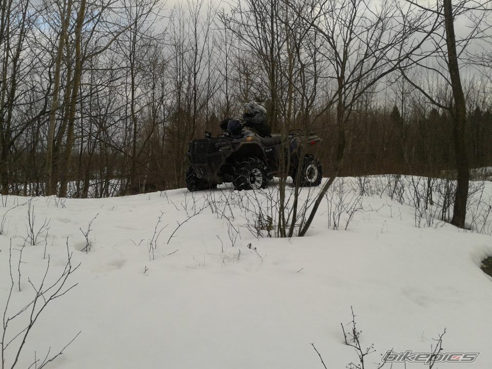 Photo 2385128