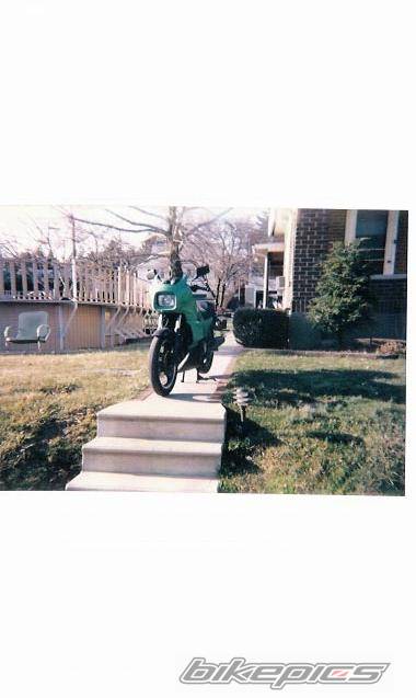 Photo 238540