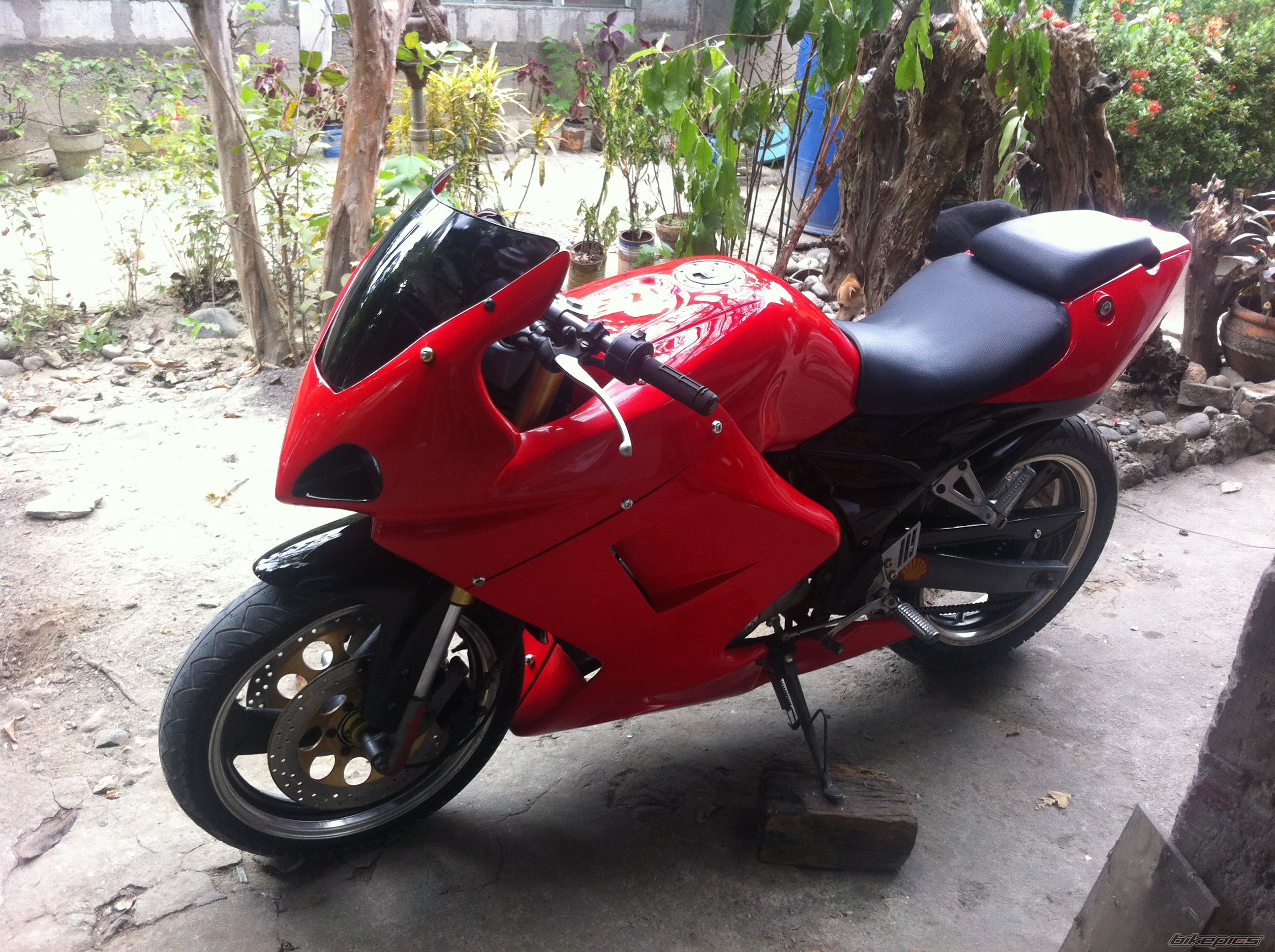 Photo 2385557