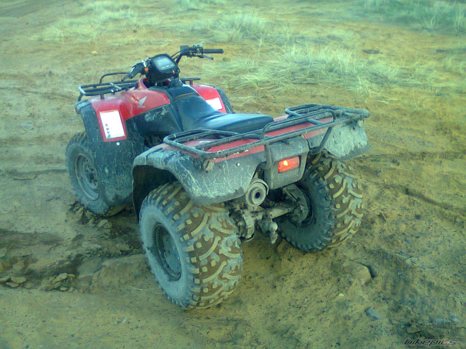 Photo 2386348