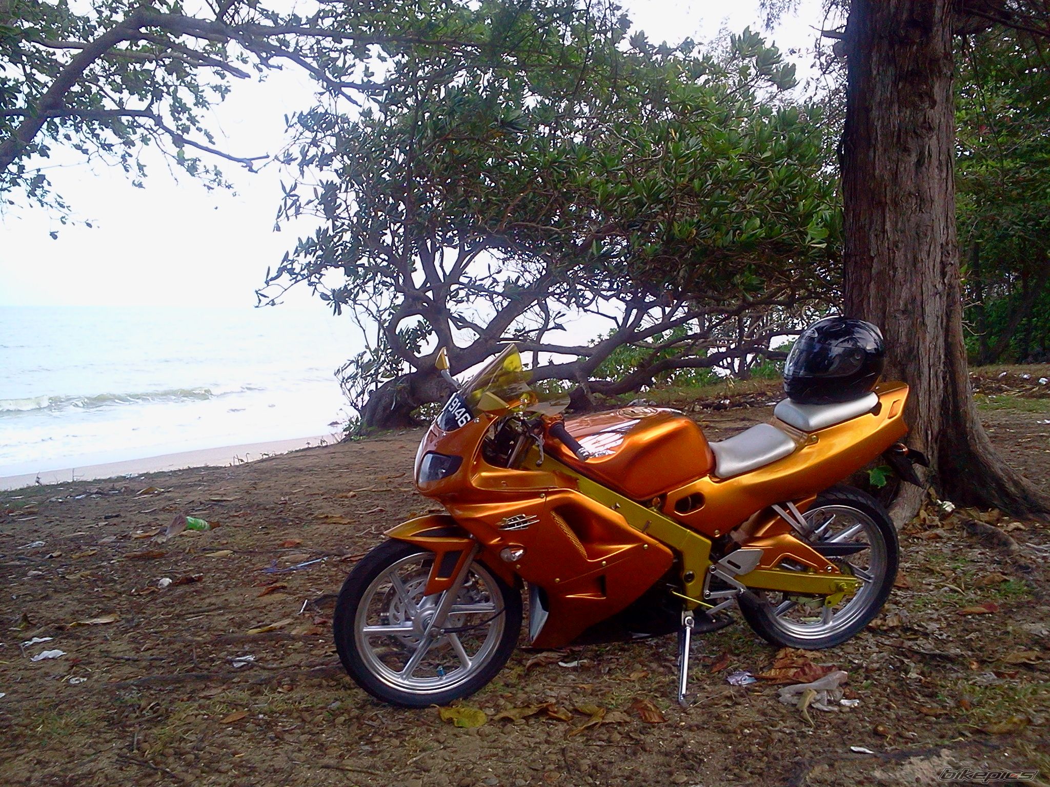 Photo 2387751