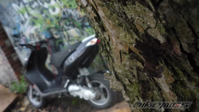 Photo 2389748