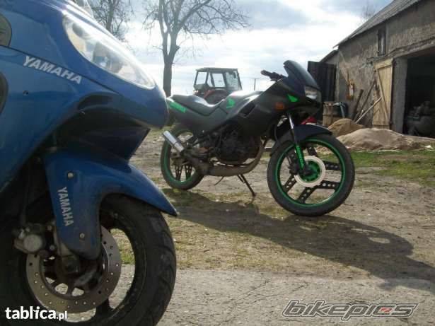 Photo 2391285