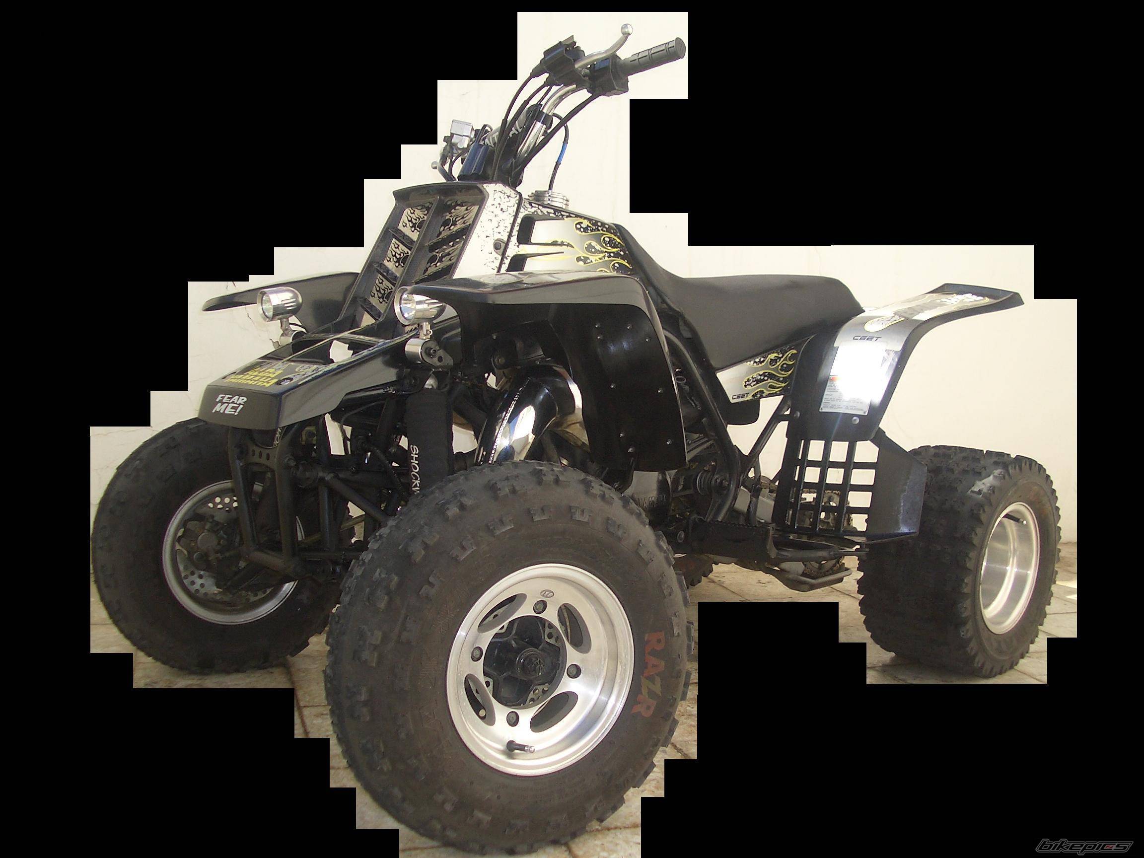 Bike Photo 239179