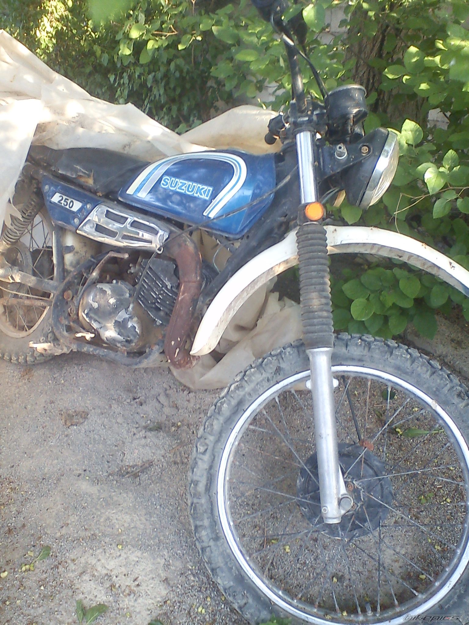 Photo 2394639