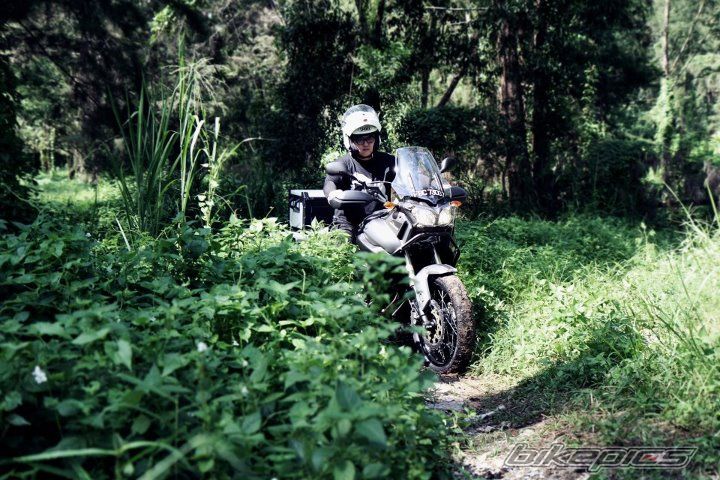 Photo 2396985