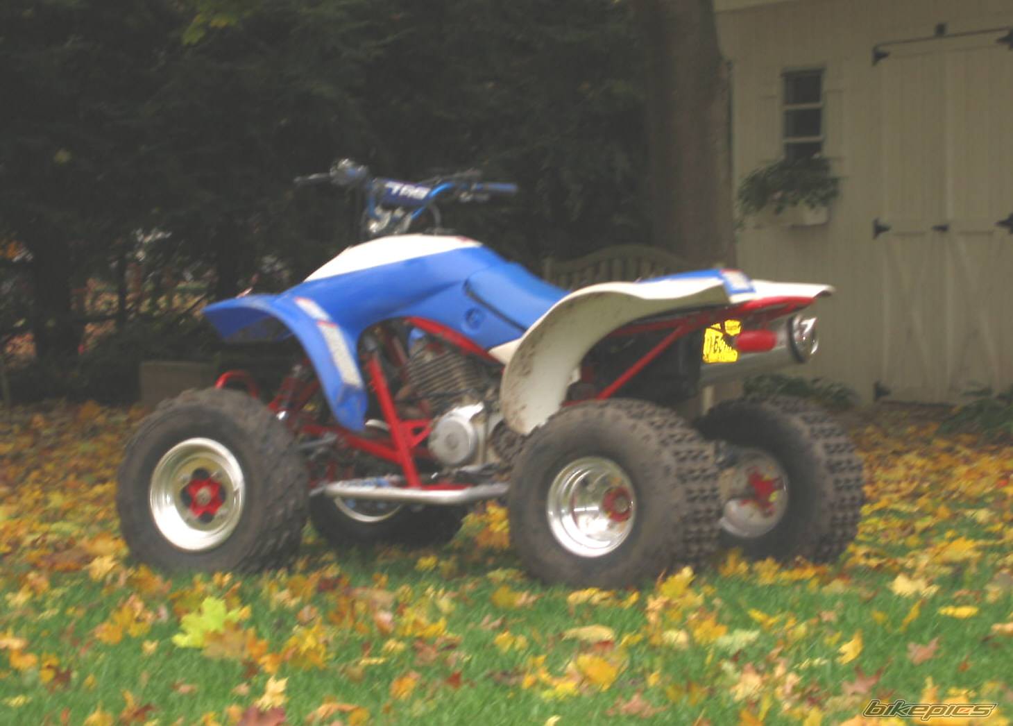 Photo 239778