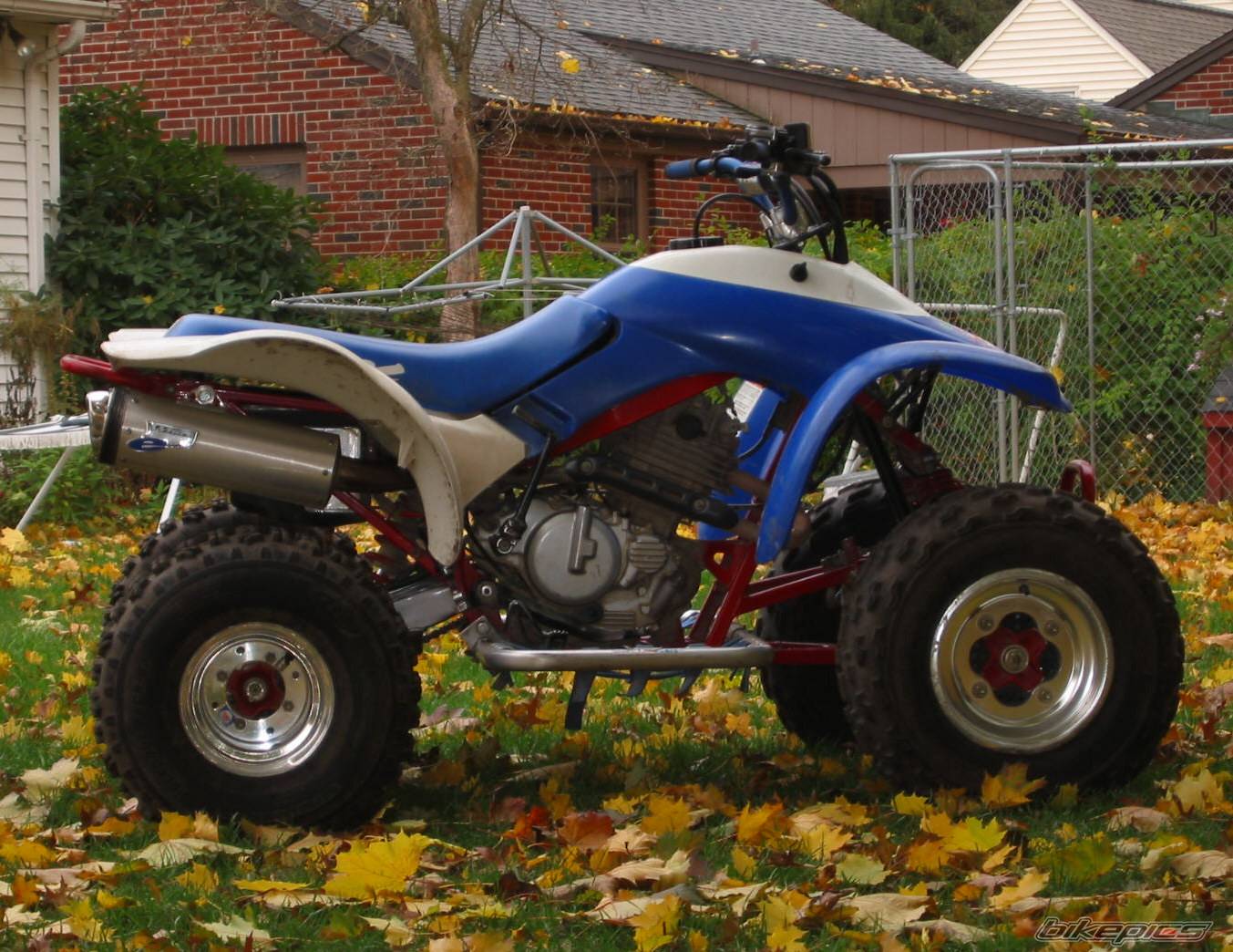 Photo 239779