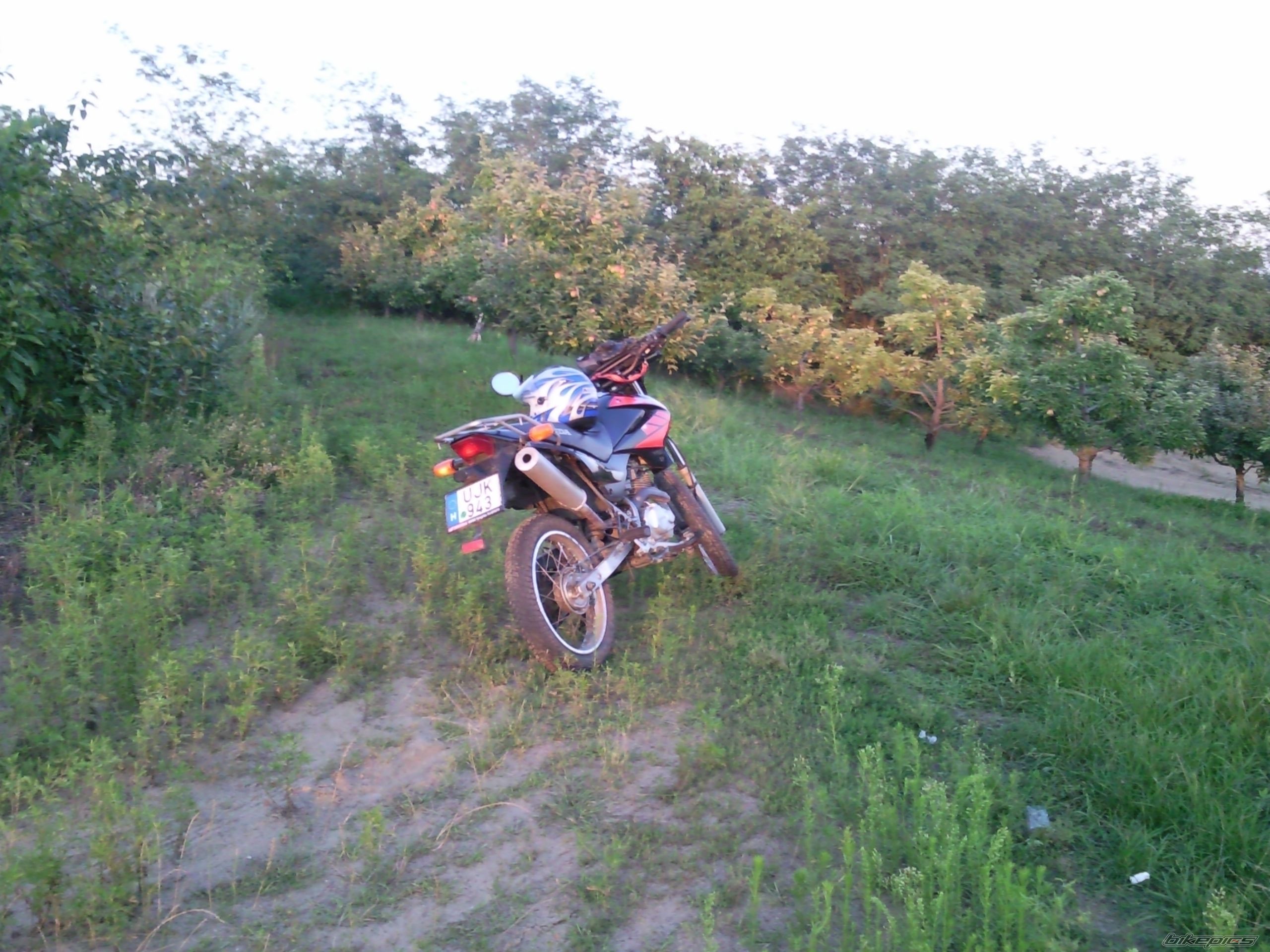 Photo 2397831