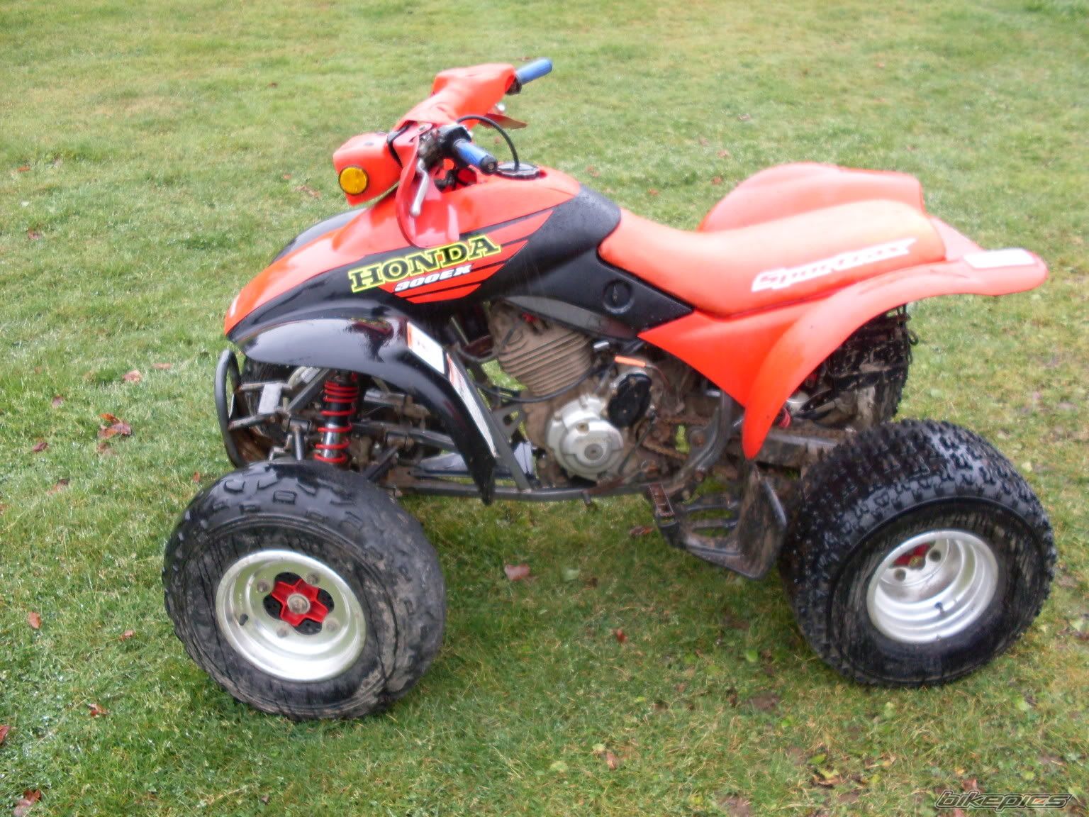 Photo 2398927