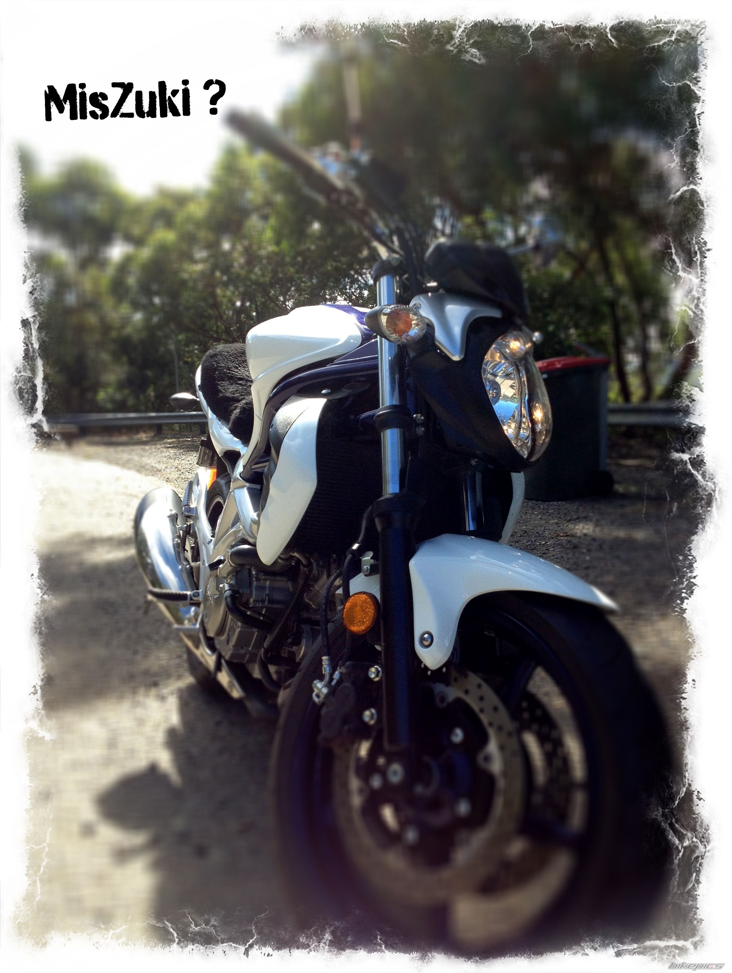 Photo 2398952