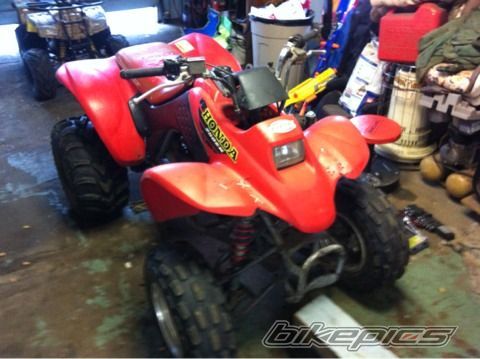 Photo 2404181