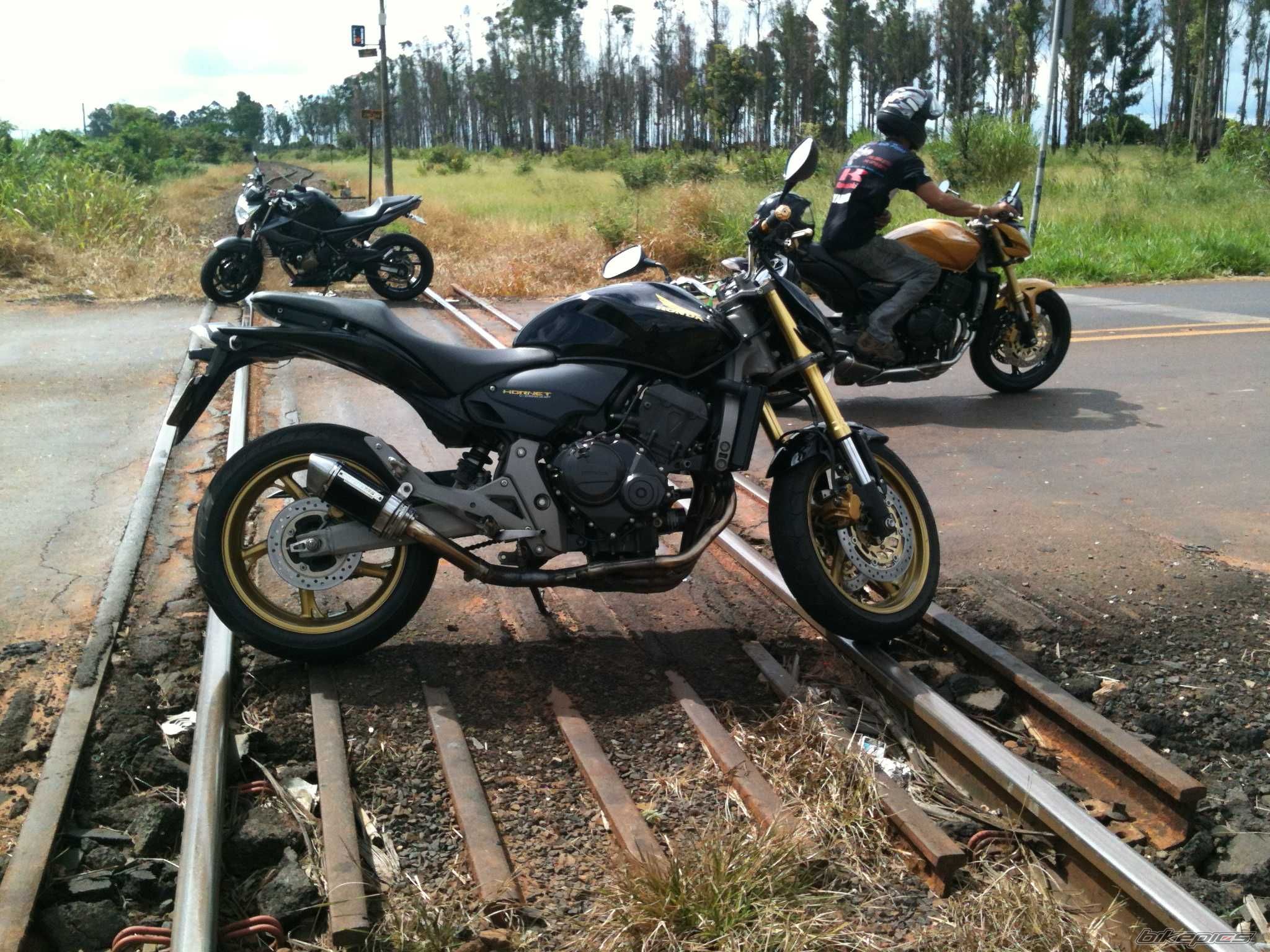 Photo 2405161